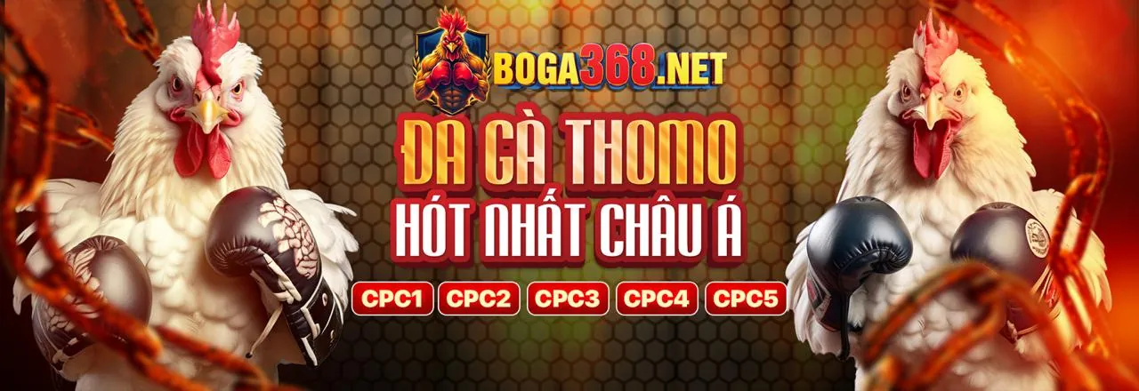 Giao diện cá cược thể thao ca no ho trên thiết bị di động