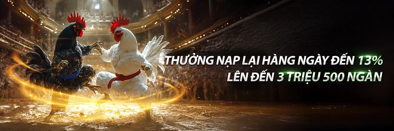 Banner khuyến mãi chào mừng thành viên mới ca no ho